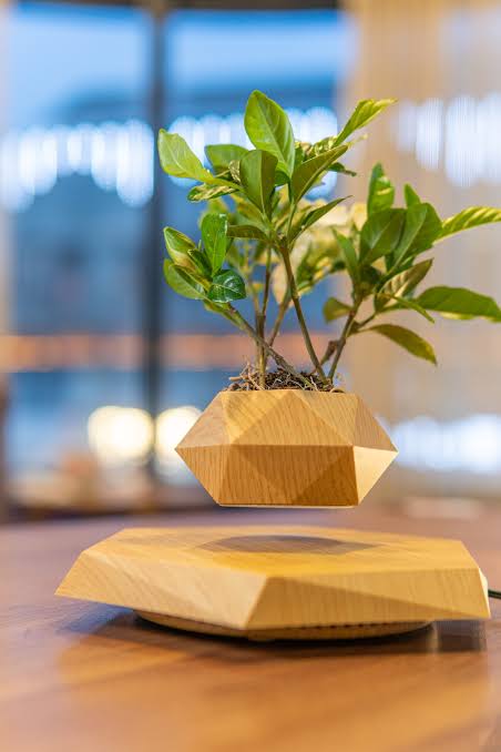 Levitating Magnetic Floating Plant Pot – 360° Rotating Air Bonsai Planter for Home & Executive Office Decor