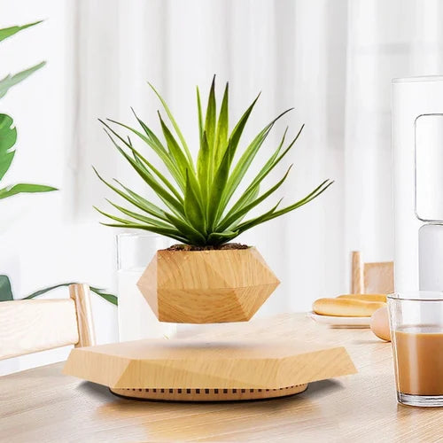Levitating Magnetic Floating Plant Pot – 360° Rotating Air Bonsai Planter for Home & Executive Office Decor